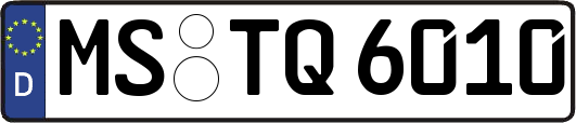 MS-TQ6010