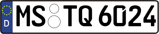 MS-TQ6024