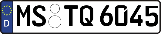 MS-TQ6045