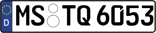 MS-TQ6053