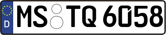 MS-TQ6058