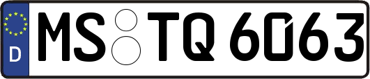 MS-TQ6063