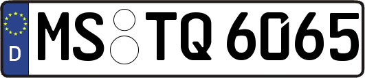 MS-TQ6065