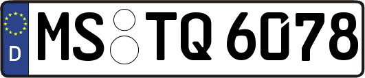 MS-TQ6078