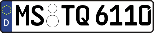 MS-TQ6110