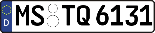 MS-TQ6131