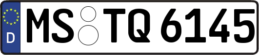 MS-TQ6145