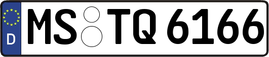 MS-TQ6166