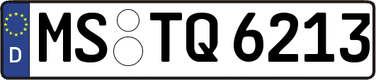 MS-TQ6213
