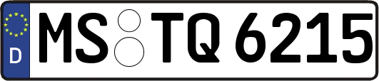MS-TQ6215