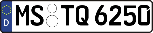 MS-TQ6250