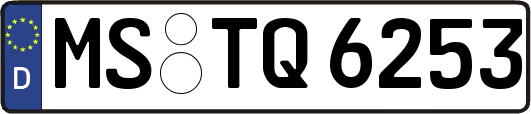 MS-TQ6253