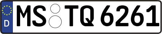 MS-TQ6261