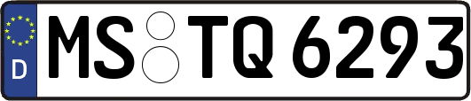 MS-TQ6293