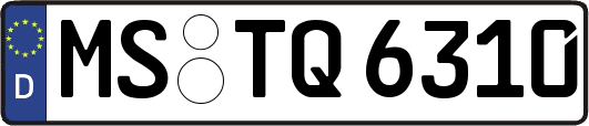 MS-TQ6310