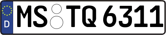 MS-TQ6311