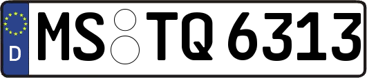 MS-TQ6313
