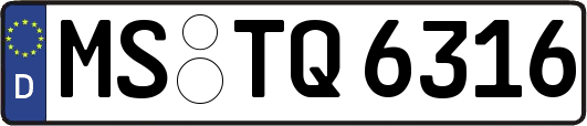 MS-TQ6316