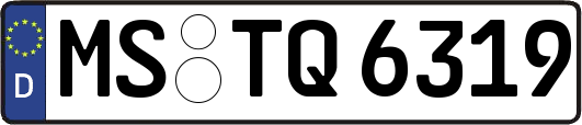 MS-TQ6319