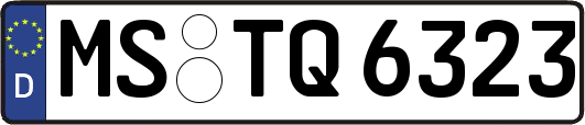 MS-TQ6323