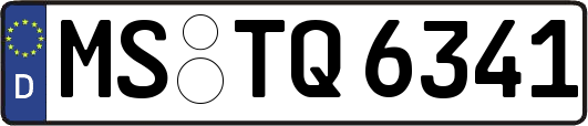 MS-TQ6341