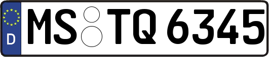 MS-TQ6345