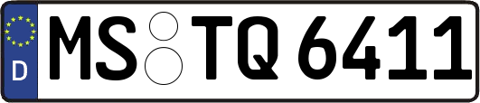 MS-TQ6411
