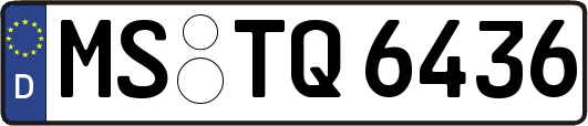 MS-TQ6436