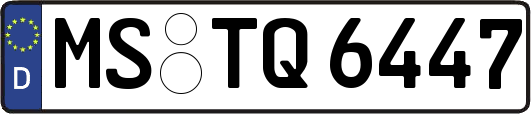MS-TQ6447