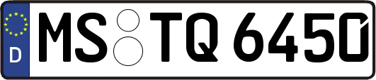 MS-TQ6450