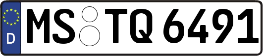 MS-TQ6491