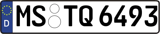 MS-TQ6493