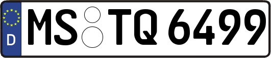 MS-TQ6499