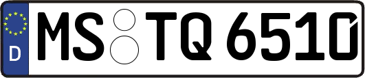 MS-TQ6510