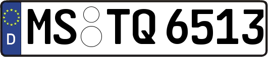 MS-TQ6513