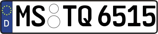 MS-TQ6515