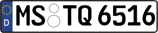 MS-TQ6516