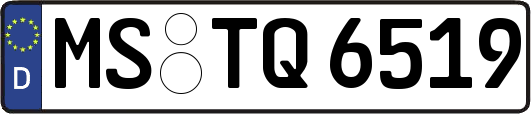 MS-TQ6519