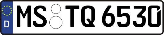 MS-TQ6530