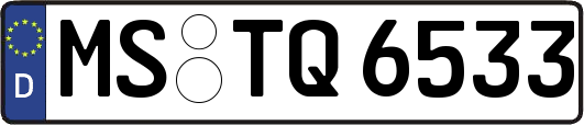 MS-TQ6533