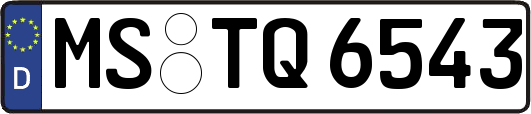 MS-TQ6543