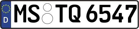 MS-TQ6547