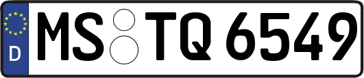 MS-TQ6549