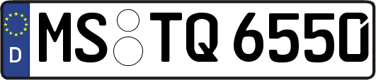 MS-TQ6550