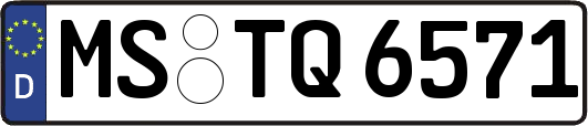 MS-TQ6571