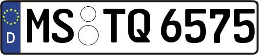 MS-TQ6575