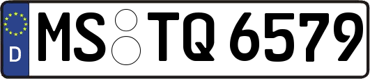 MS-TQ6579