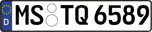 MS-TQ6589