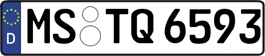 MS-TQ6593
