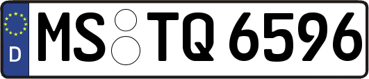 MS-TQ6596